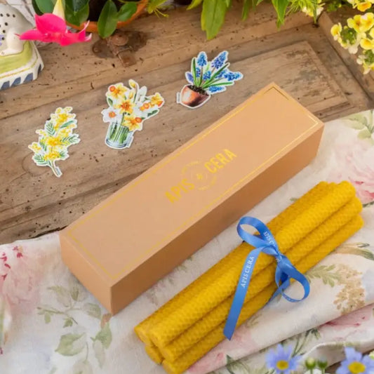 Bougies chandelles en cire d’abeille jaunes avec ruban bleu et boîte cadeau lucienne