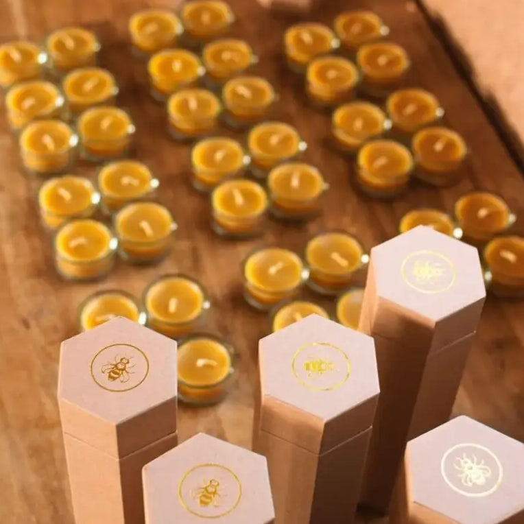 Bougies chauffe-plat en cire d’abeille pure dans des contenants élégants, boîte de 8