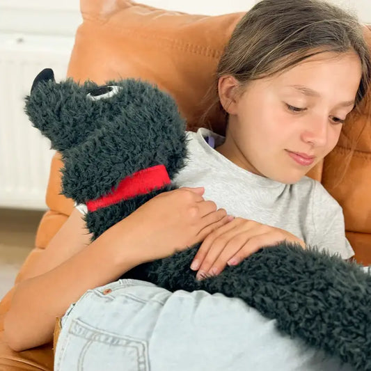 Jeune fille avec un teckel moelleux en peluche à collier rouge, parfait comme bouillotte teckel