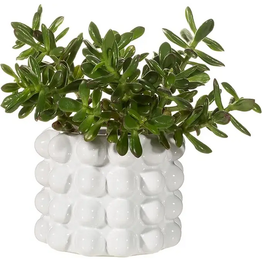 Plante artificielle succulente verte dans cache port booble blanc design texturé