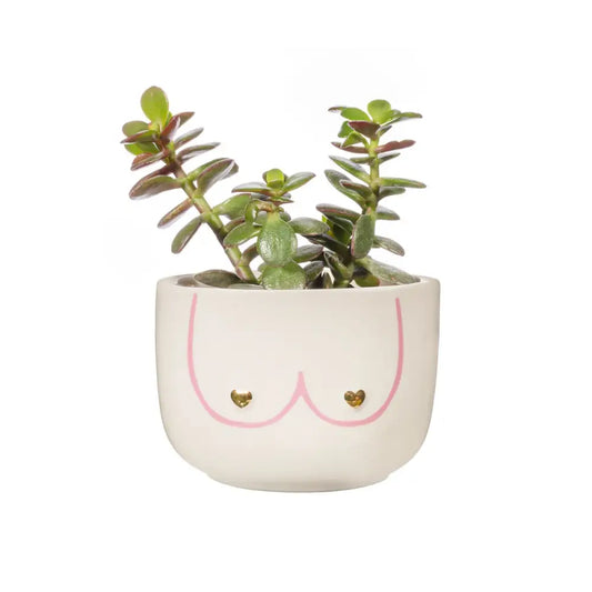 Cache pot boobs avec petits objets, girl power, design unique pour plantes vertes