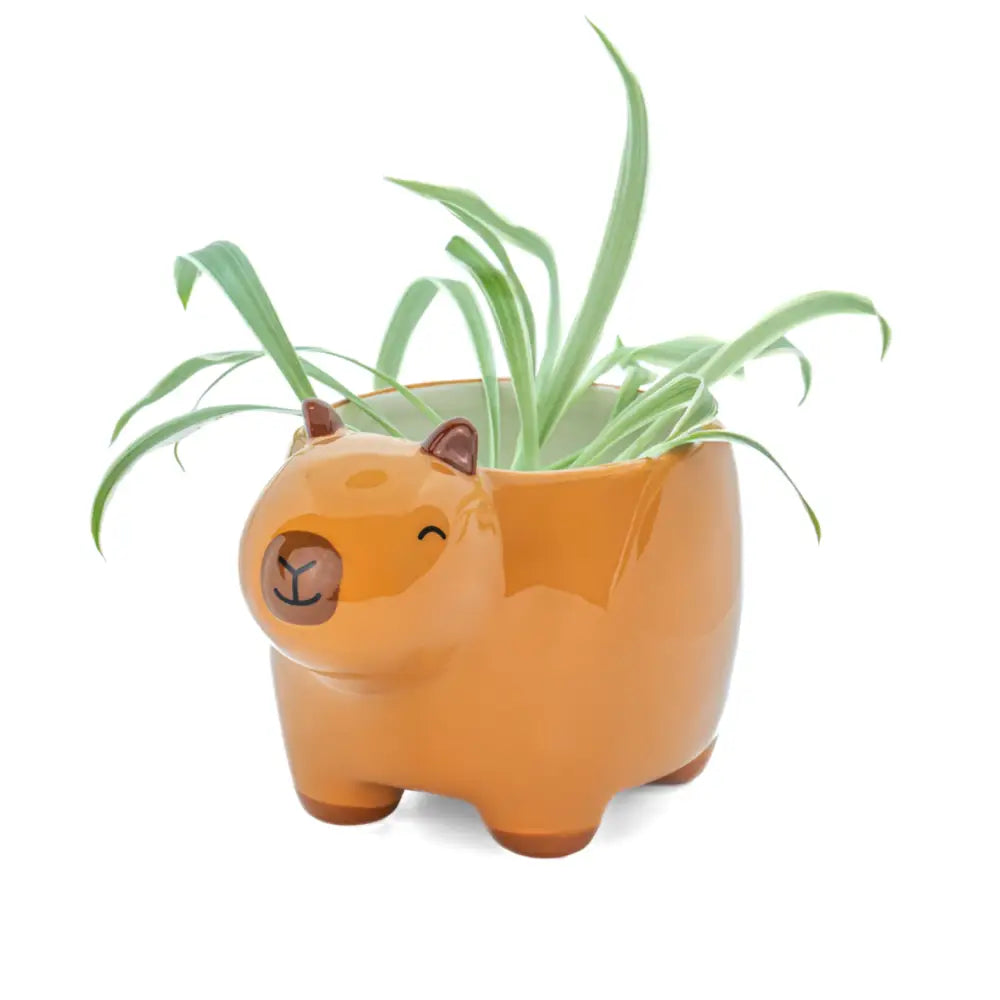 Cache pot capybara orange en céramique souriante, touche d’exotisme