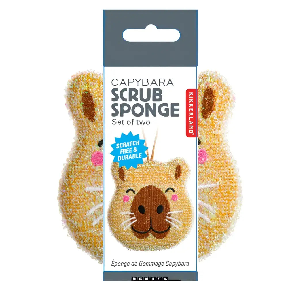 Éponge capybara x2 pour bonne humeur, idée cadeau, petits objets durables et scratch-free