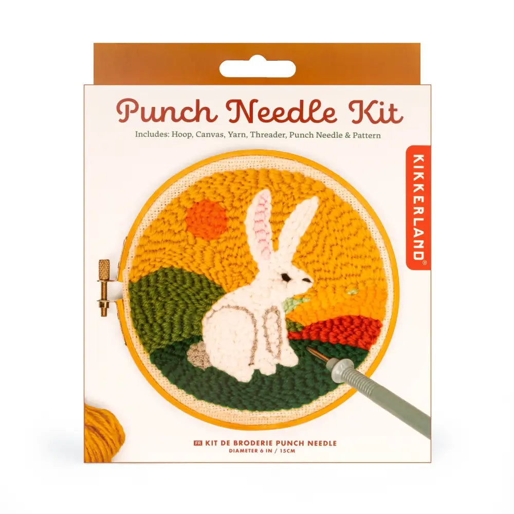 Punch needle kit broderie diy avec design lapin pour mini tapisserie DIY