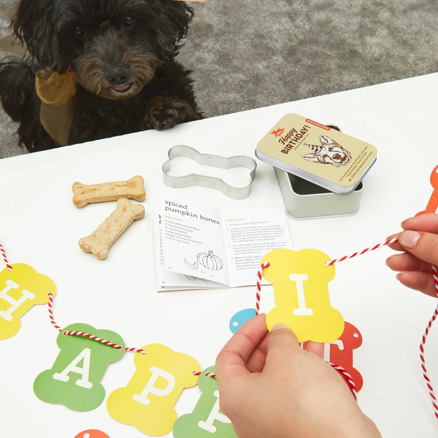 Bannière papier jaune en os pour kit d’anniversaire chien, ambiance festive