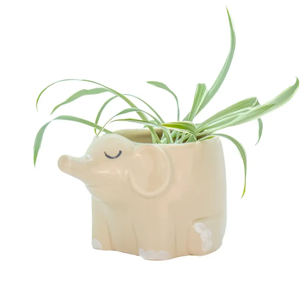Cache-pot éléphant crème forme d’éléphant, taille compacte, idée cadeau