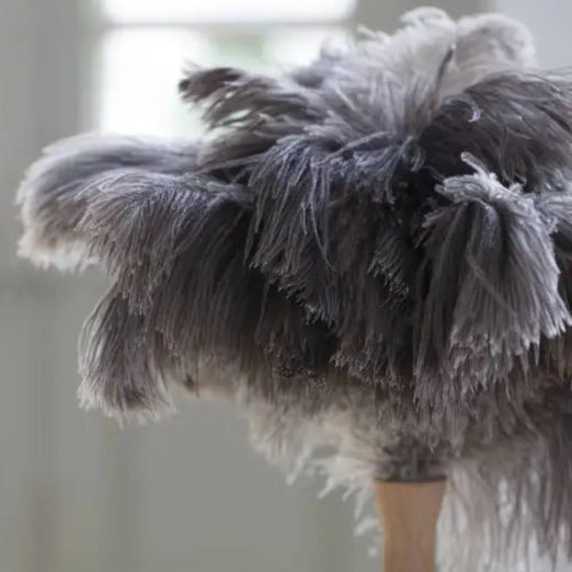 Plumeau à poussière en véritables plumes d’autruche et bois de hêtre 30 cm