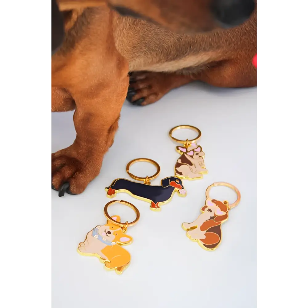 Set de 4 porte-clé teckel en émail, design soigné et objet pratique