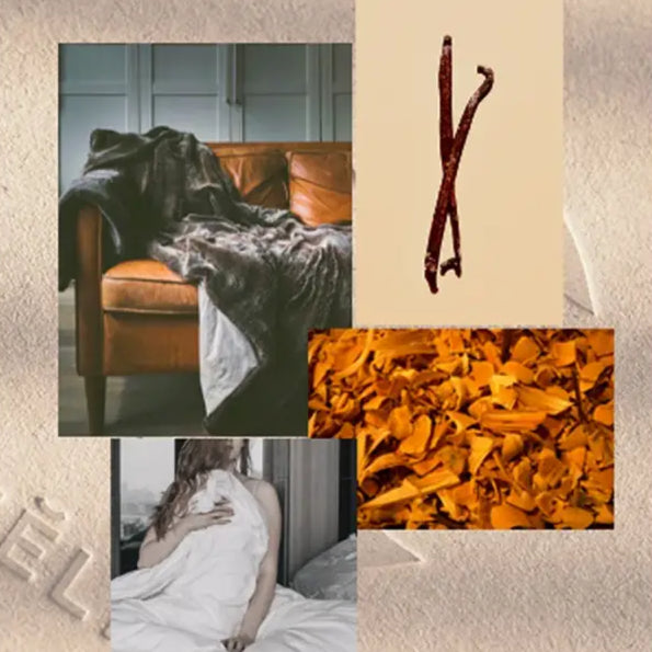 Image d’une recharge savon main liquide tonka avec espace cosy et vanille