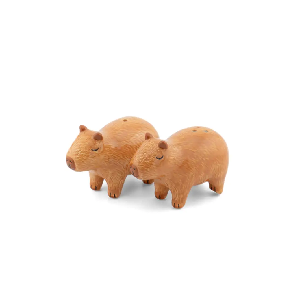 Salière Poivrière Capybara