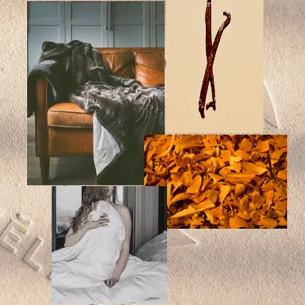 savon main liquide rechargeable - tonka/santal/ambre 250mL