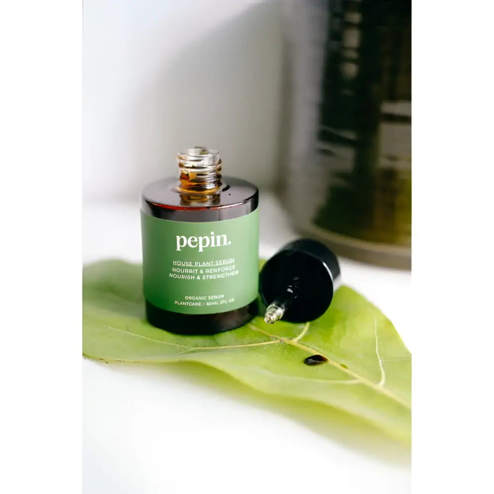 Sérum naturel pour plantes d’intérieur, respectant l’environnement