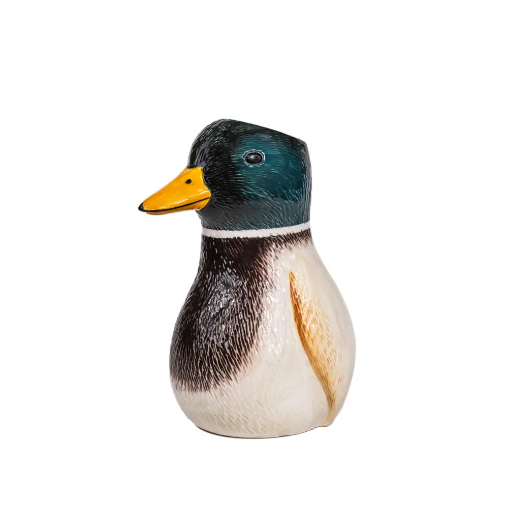 Vase canard