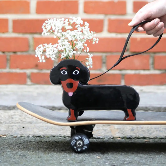 Vase teckel dachshund avec fleurs blanches, sur skateboard, touche animalière cool