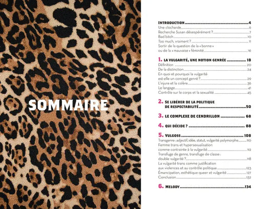 Table des matières du livre Vulgaire Qui Décide sur liberté individuelle