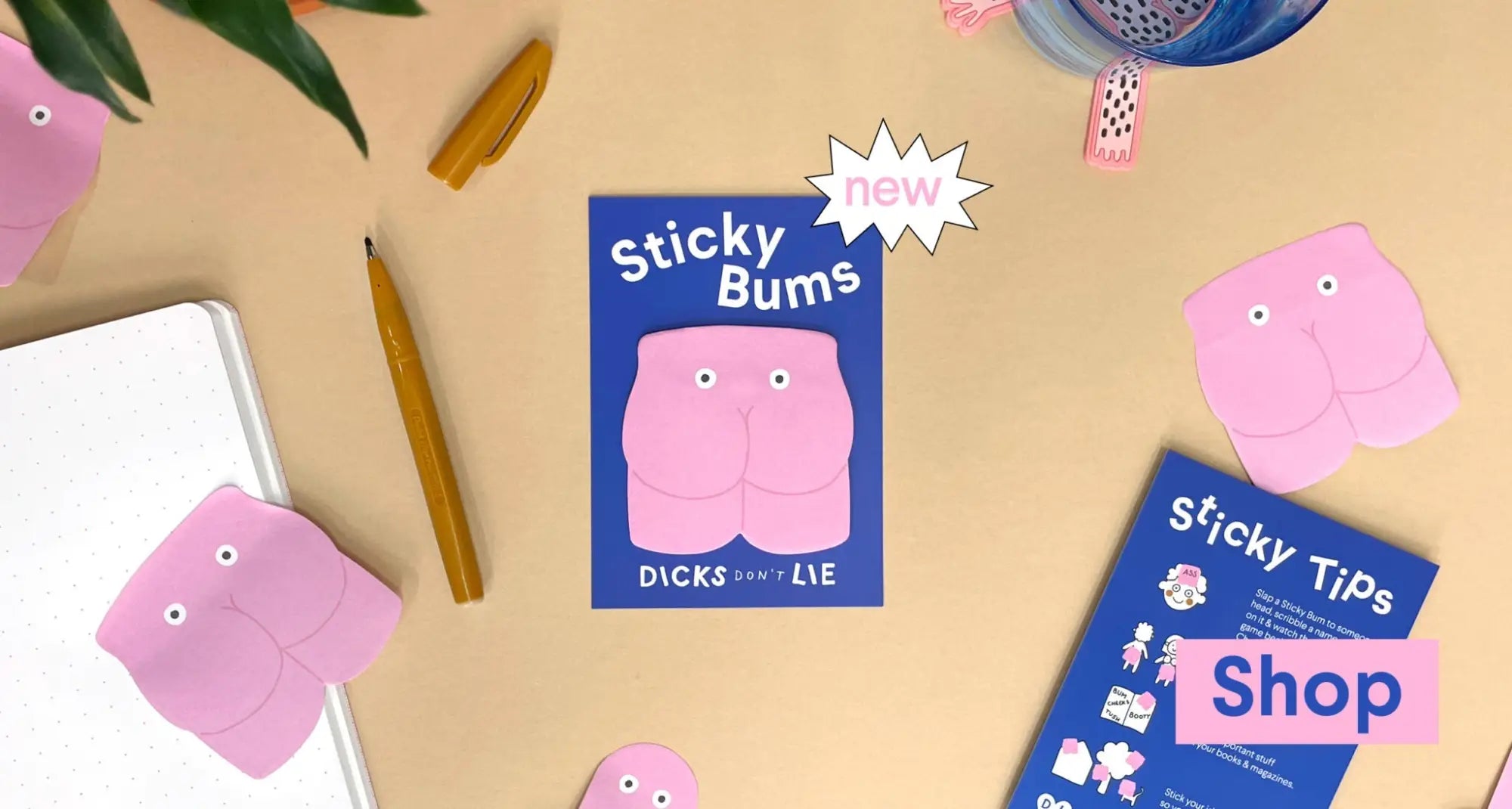 Dicks Don't Lie