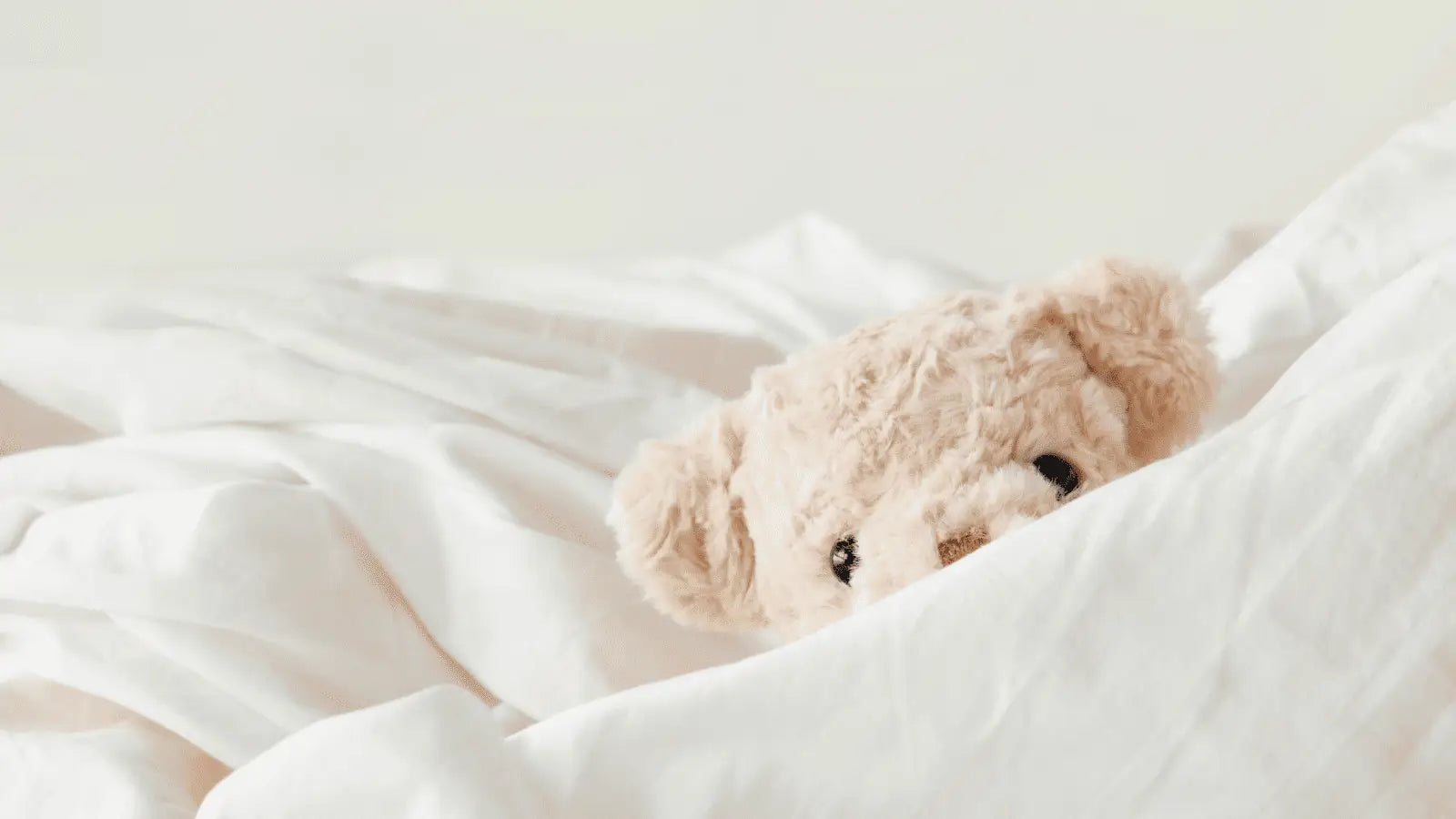 Peluche Et Doudou