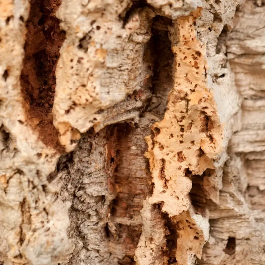 Cork bark naturel pour boîte à savon, idéale pour cosmétiques solides et soins solides