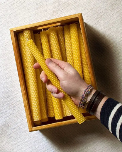 Collection de bougies chandelles en cire d’abeille jaune texturée nid d’abeille