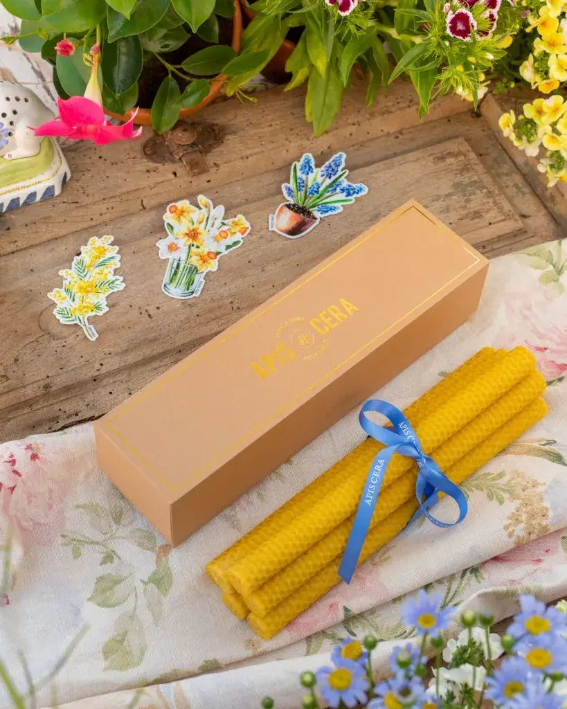 Bougies chandelles en cire d’abeille, six jaunes liées par ruban bleu