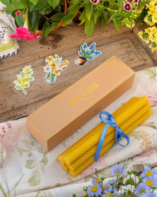 Bougies chandelles en cire d’abeille, six jaunes liées par ruban bleu