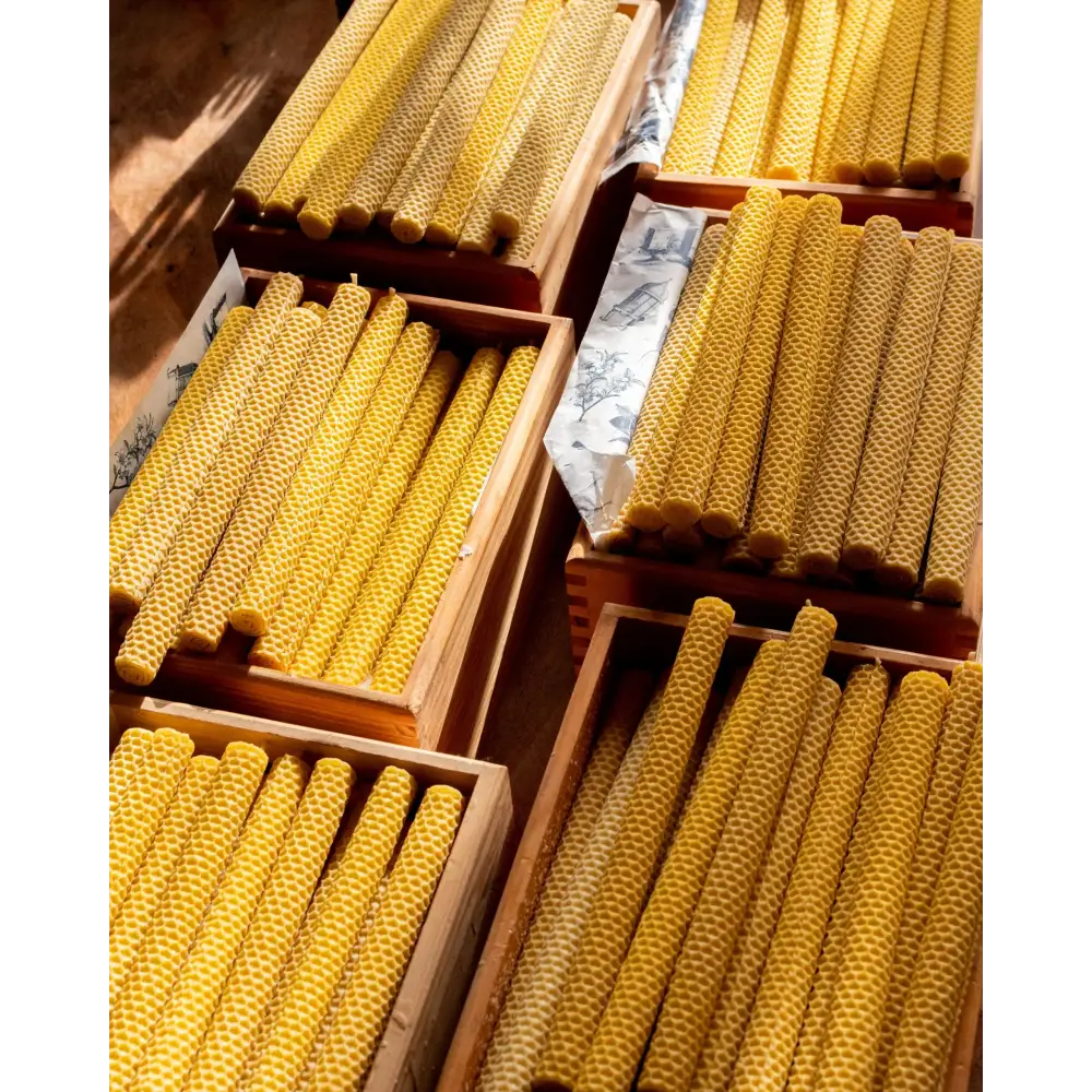 Bougies chandelles en cire d’abeille – Lucienne – boîte de 9