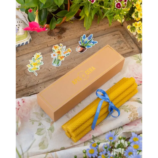 Bougies chandelles en cire d’abeille – Lucienne – boîte de 9