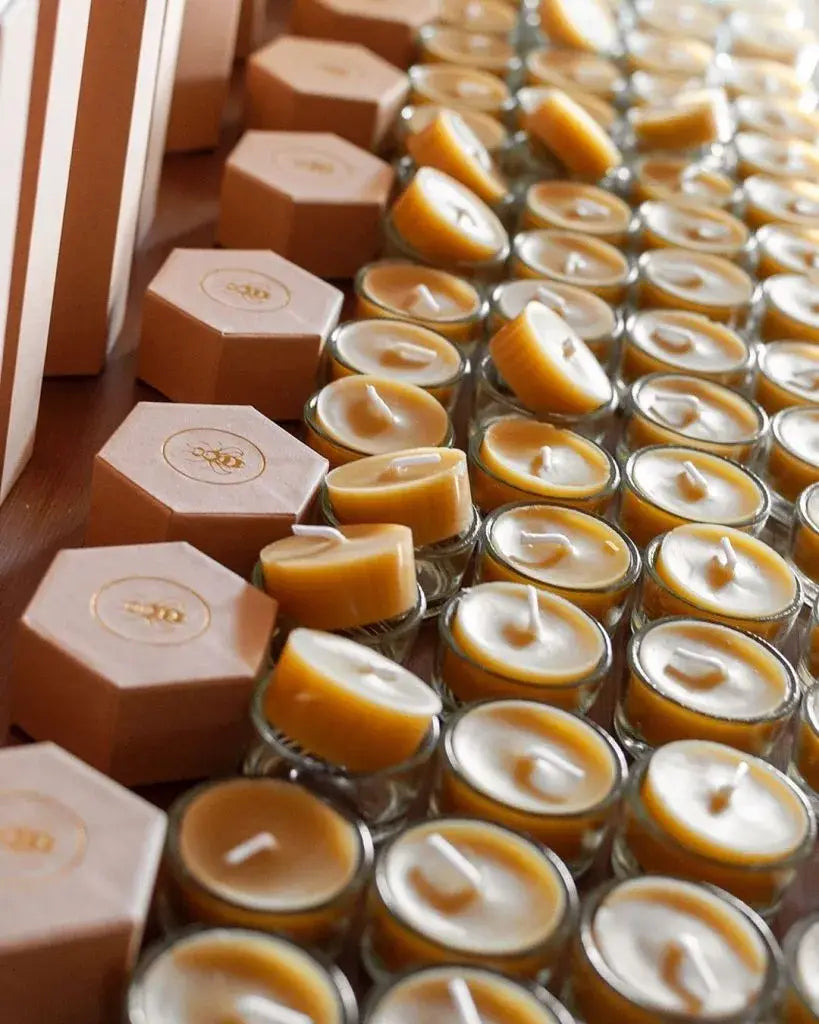 Bougies chauffe-plat en cire d’abeille pure, lumière douce, propriétés purifiantes