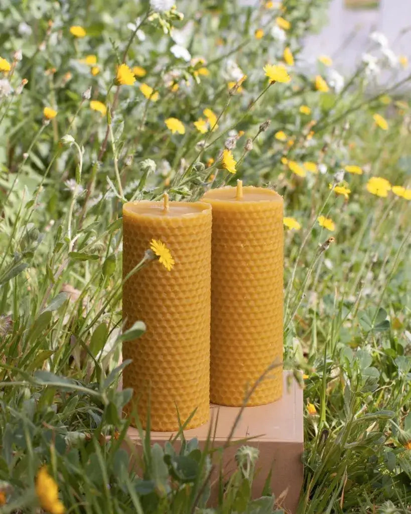 Deux bougies cylindriques texturées en cire d’abeille Ambroise dans écrin raffiné