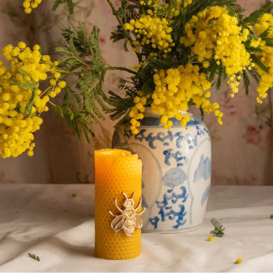 Bougies en cire d’abeille Ambroise avec abeille, texture jaune, boîte de 2