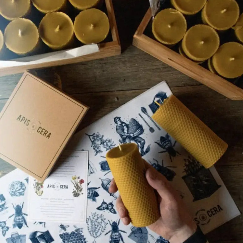 Bougies en cire d’abeille Ambroise, tealights et piliers roulés pour une ambiance naturelle