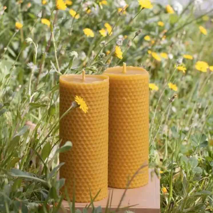 Bougies en cire d’abeille Ambroise, deux cylindres texturés pour une ambiance chaleureuse