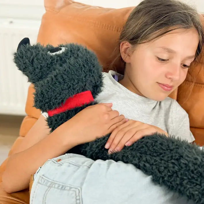 Jeune fille avec un teckel moelleux en peluche à collier rouge, parfait comme bouillotte teckel