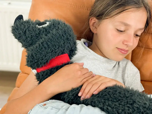 Bouillotte teckel moelleux : chien allongé fluffy noir avec collier rouge