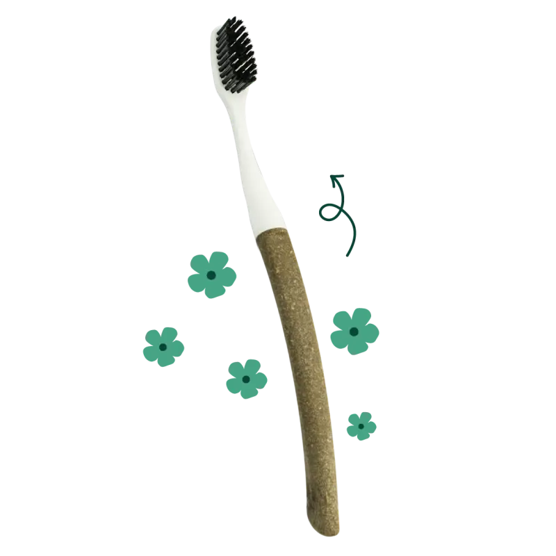 Brosse à dents écologique Edith Medium avec manche réutilisable en lin durable