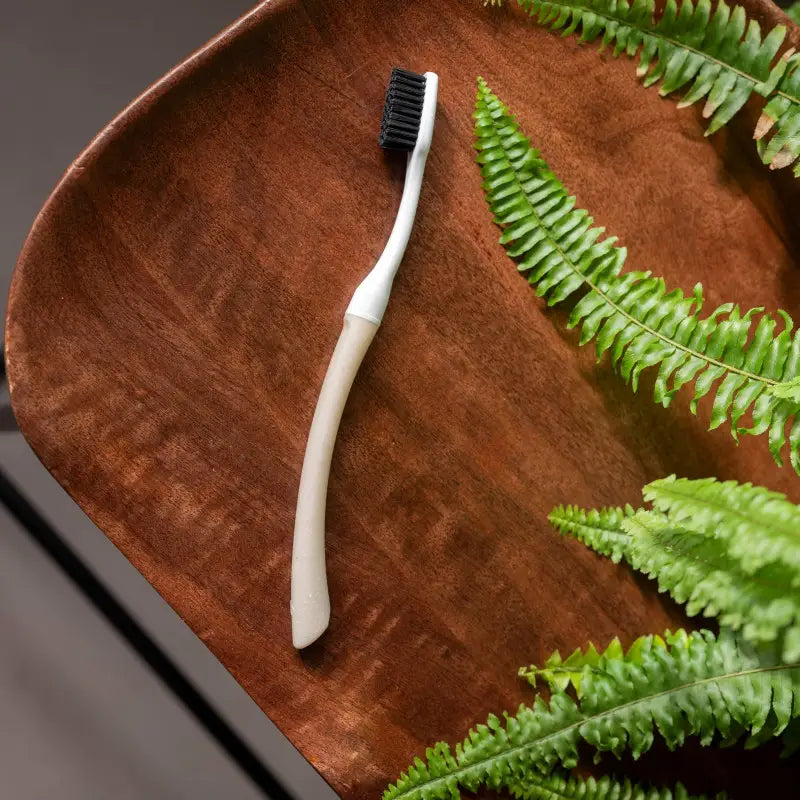 Brosse à dents écologique Edith medium avec tête interchangeable anti-déchets plastiques