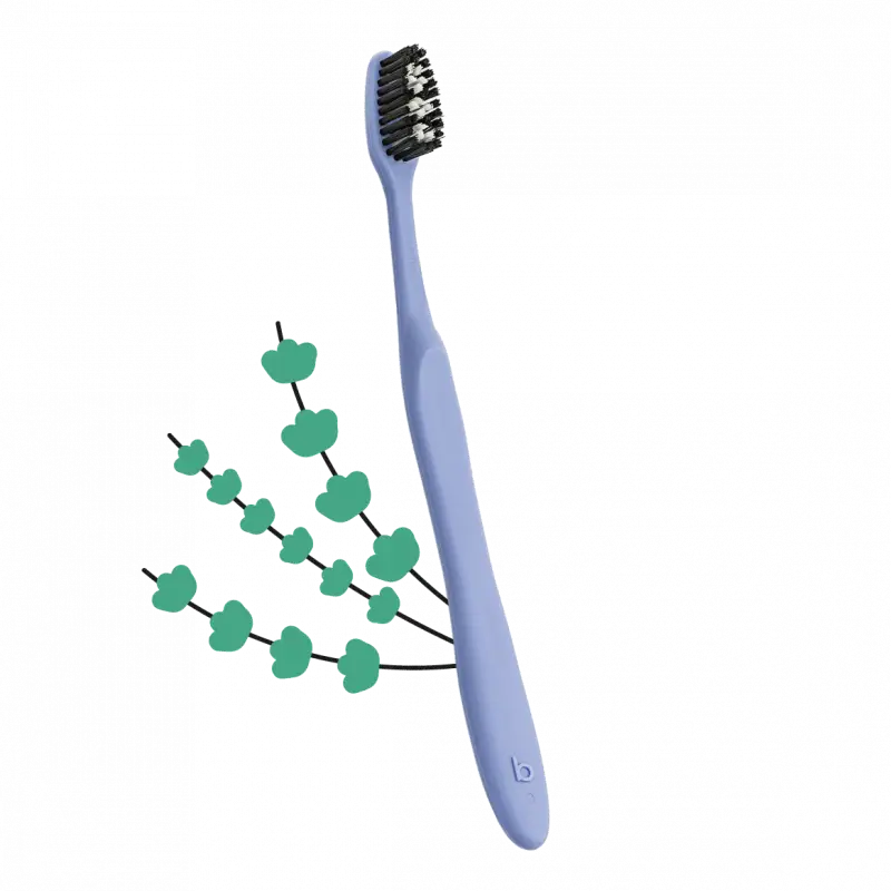 Brosse à dents écologique Recyclette en plastique recyclé, lavande élégante