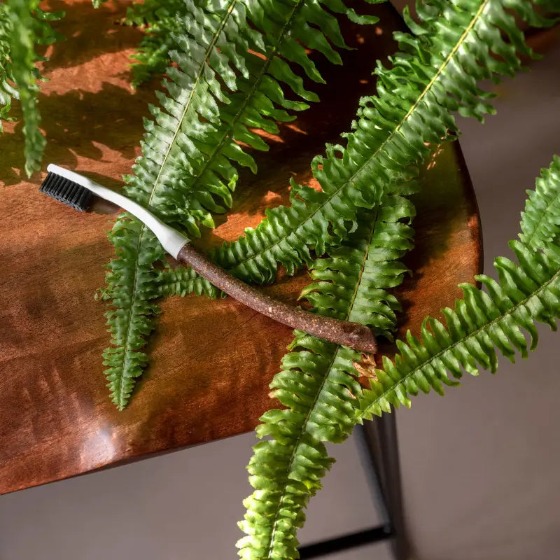 Brosse à dents Edith souple avec manche durable en liège sur fougères vertes