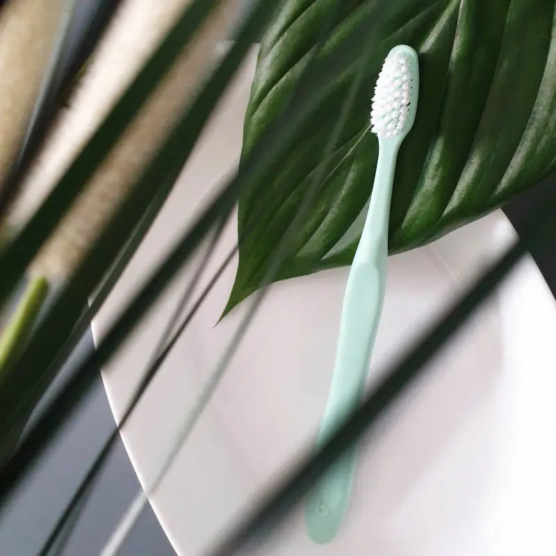 Brosse à dents extra souple Recyclette en plastique recyclé, mint vert sur feuille verte