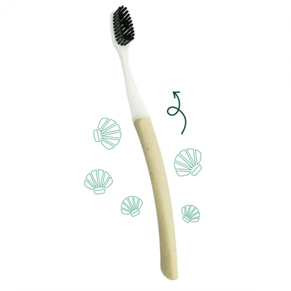 Brosse à dents souple Edith Coquille St Jacques tête interchangeable durable