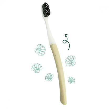 Brosse à dents à tête interchangeable Souple Edith- coquille St Jacques