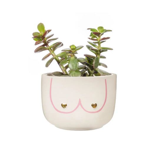 Cache pot boobs en céramique blanche avec seins roses et tétons cœurs dorés, petite plante verte. Idée cadeau fun