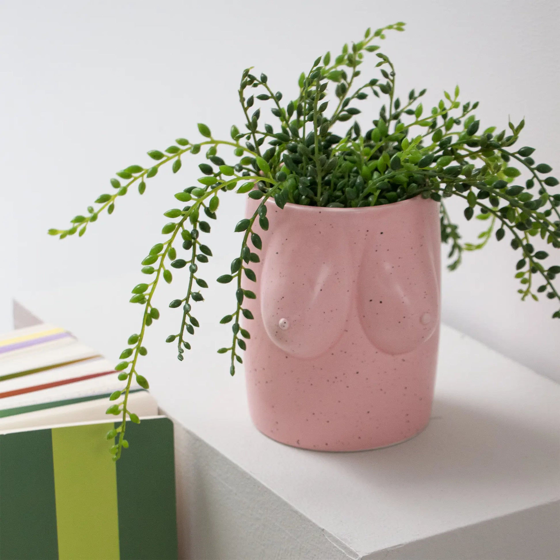 Cache pot boobs rose : torse céramique rose tacheté aux seins affirmés