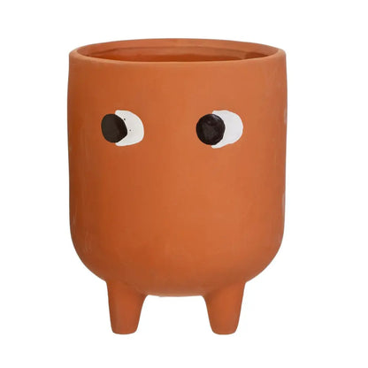 Cache pot leggy