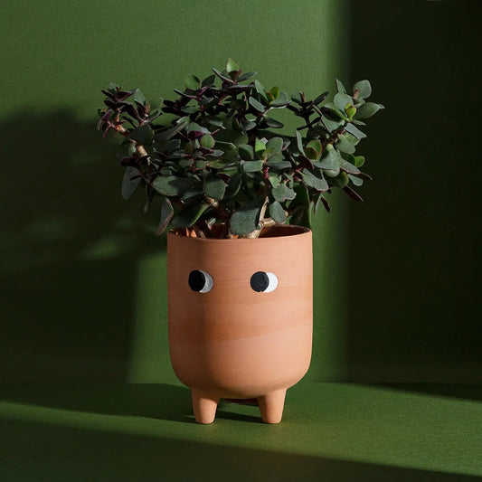 Cache pot Leggy en terre cuite avec yeux googly et pattes, plante verte dedans