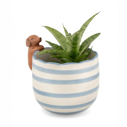 Cache Pot Teckel