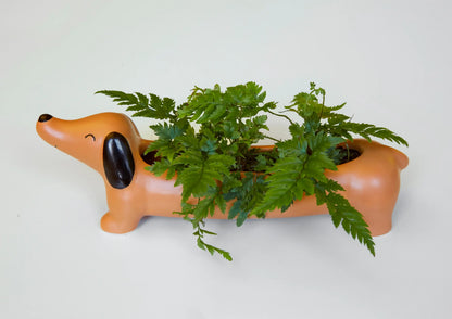 Cache-pot Teckel orange céramique avec fougères vertes