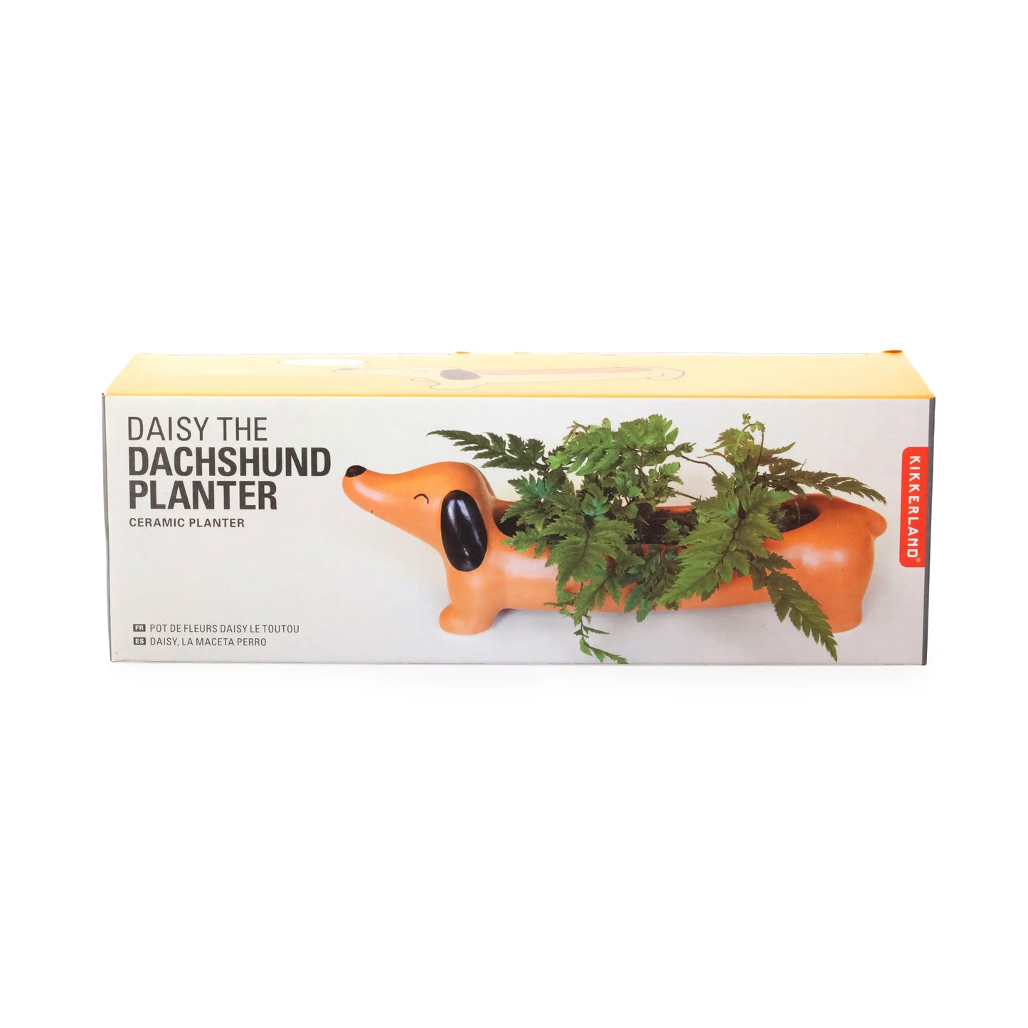 Cache-pot Teckel orange céramique avec oreilles noires et visage souriant pour petites plantes style d’intérieur