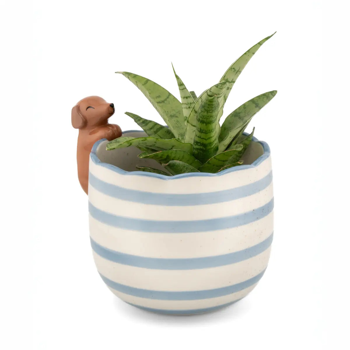 Cache-pot Teckel en céramique rayée bleu clair et blanc avec forme malicieuse de teckel