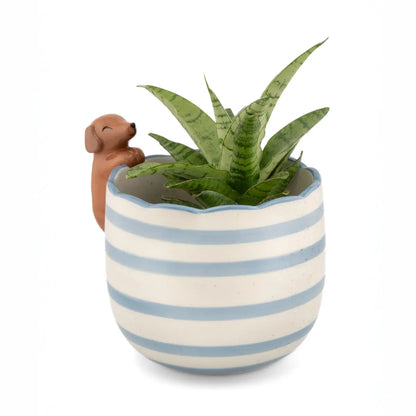 Cache-pot Teckel en céramique rayée bleu clair et blanc avec forme malicieuse de teckel